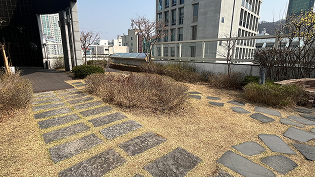 옥상에 조성된 야외 정원과 산책로 사진