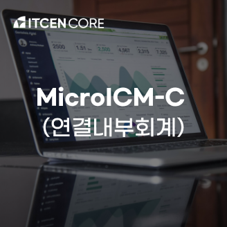 MicroICM-C (연결내부회계) 사진