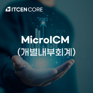 MicroICM (개별내부회계)  사진